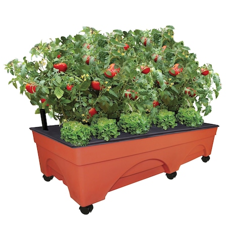 Emsco Group Big Raised Bed Grow Box, Self Watering and Aeration, Mobile Unit W/ Casters, XL 48inx20in Design 3340